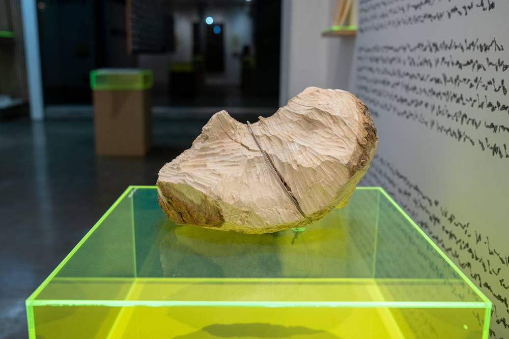 Marianne Hoffmeister Castro. CASTOR typeset. Typeset specimen, beaver-made log and printed publication. Dimensions variable. Hoffmitz Milken Center for Typography, ArtCenter, Pasadena, 2023. Detail.